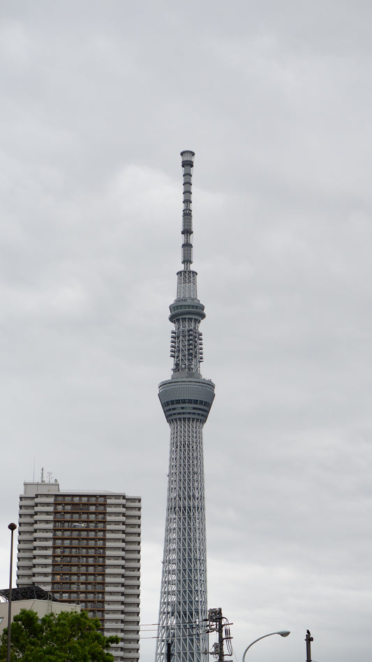 Tokyo Photo Spots Tour & Photoshoot Experience